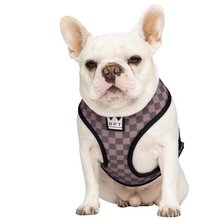 Load image into Gallery viewer, DAWGMIER Reversible Harness