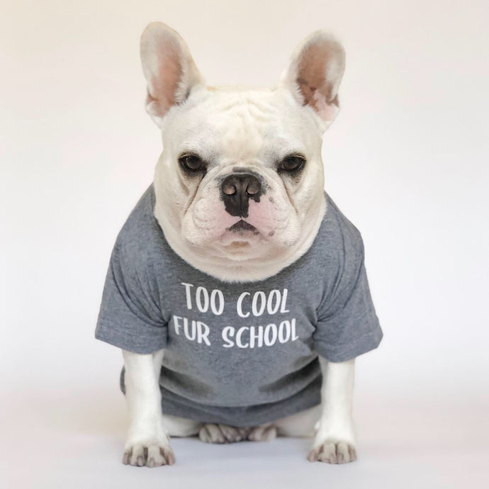 Too Cool Fur School T-Shirt