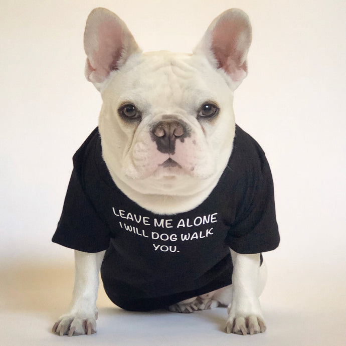 Leave Me Alone I Will Dog Walk You T-Shirt