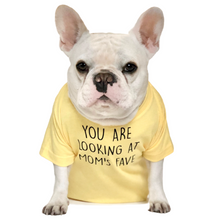 Load image into Gallery viewer, You Are Looking At Mom&#39;s Fave T-Shirt