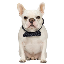 Load image into Gallery viewer, DAWGMIER GROWLPHITE Bow Tie
