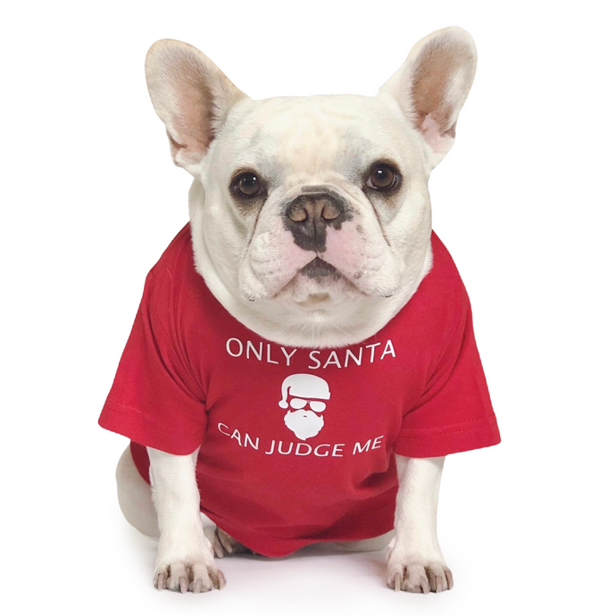 Only Santa Can Judge Me T-Shirt