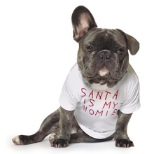Load image into Gallery viewer, Santa Is My Homie T-Shirt