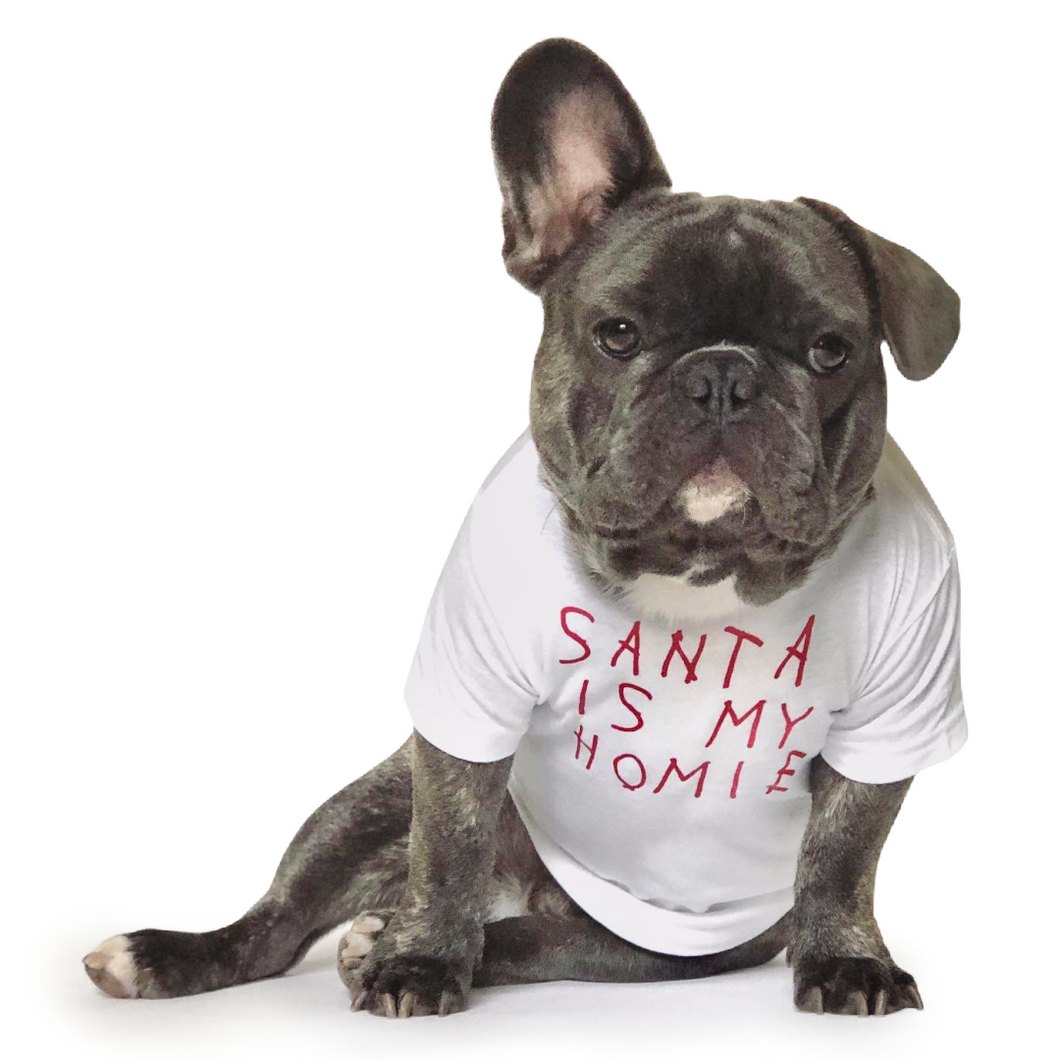 Santa Is My Homie T-Shirt