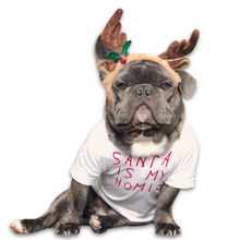Load image into Gallery viewer, Santa Is My Homie T-Shirt