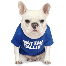 Load image into Gallery viewer, Matzah Ballin’ T-Shirt