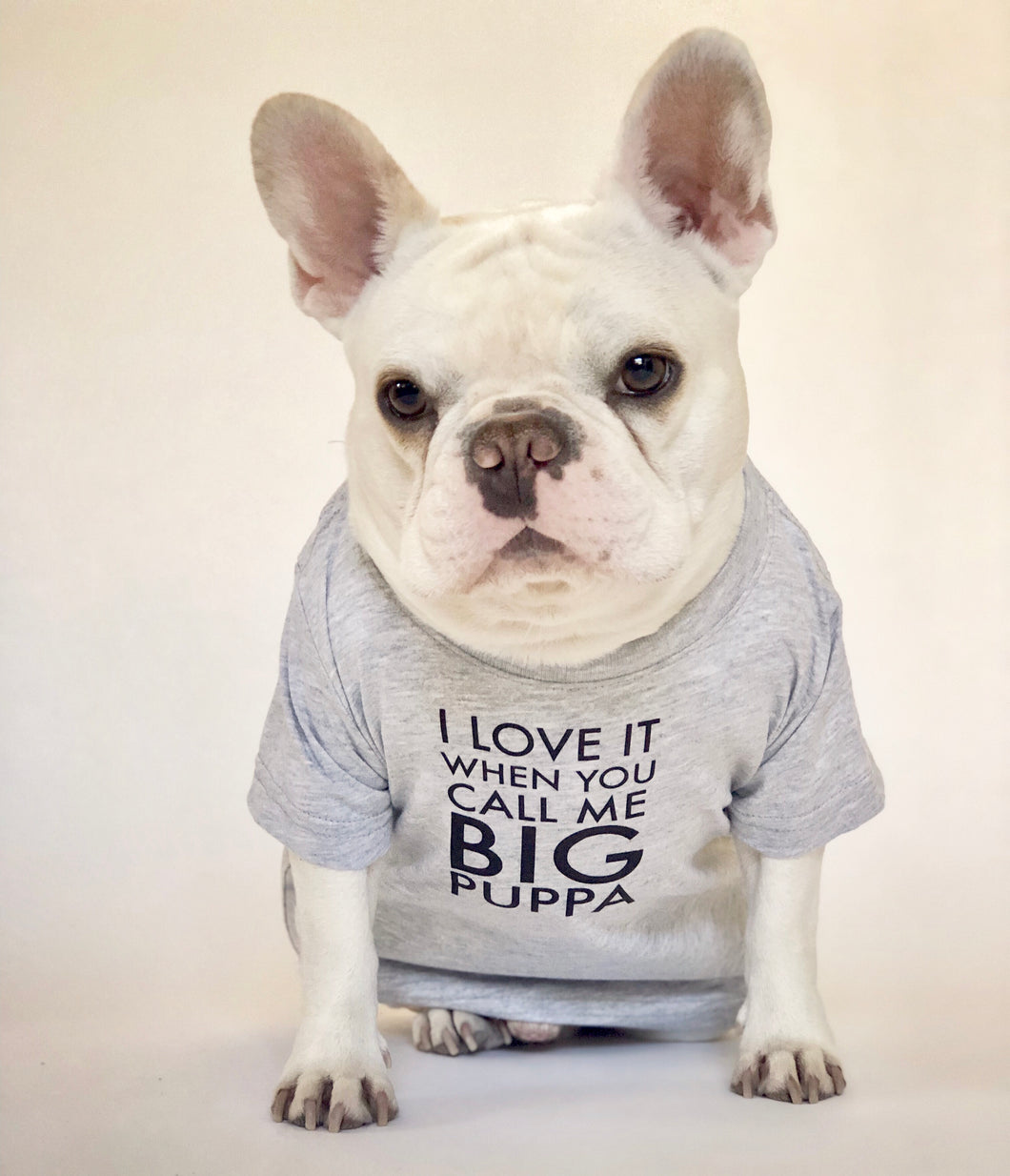 I Love It When You Call Me Big Puppa T-Shirt