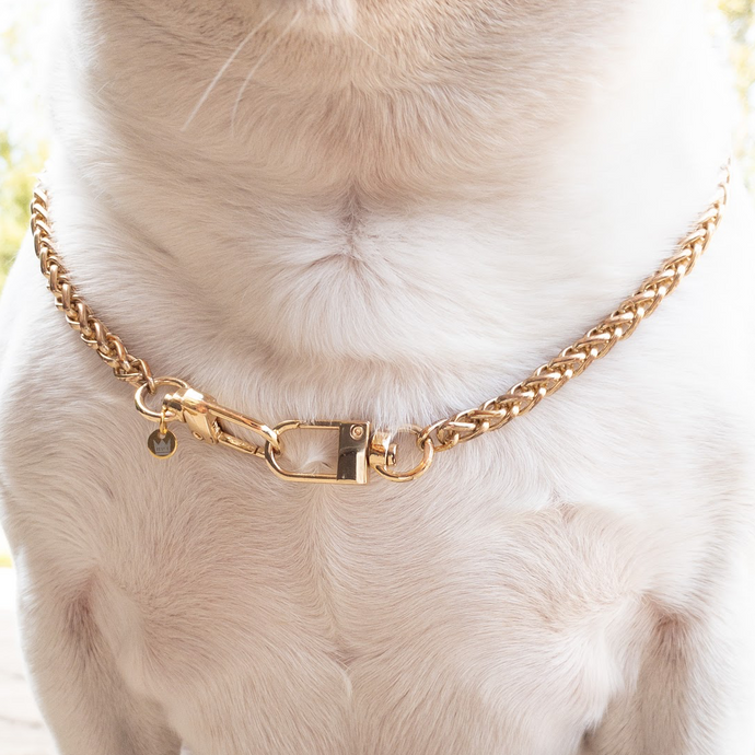 Gold Big Puppin' Braided Chain