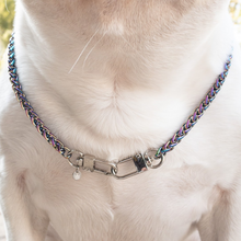 Load image into Gallery viewer, Unicorn Big Puppin&#39; Braided Chain
