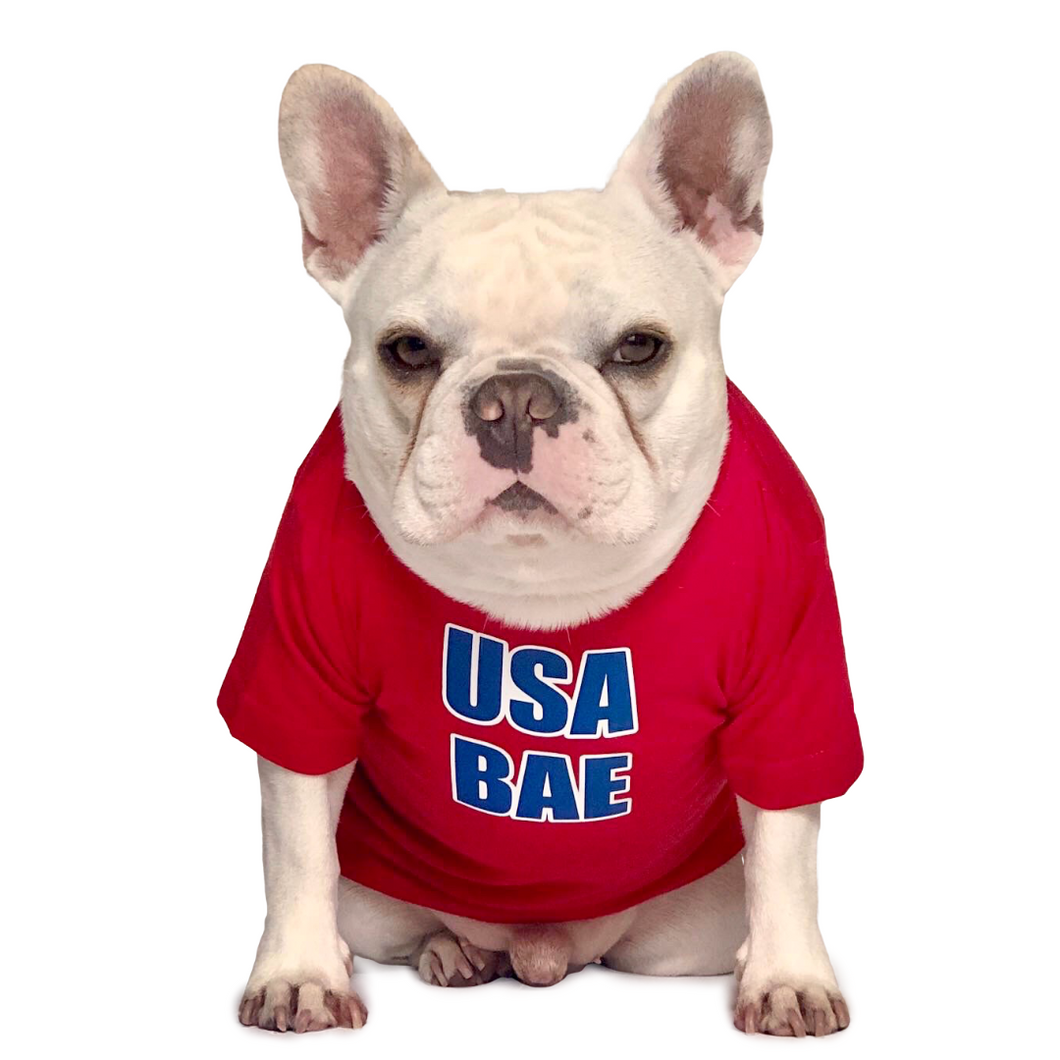 USA Bae T-Shirt