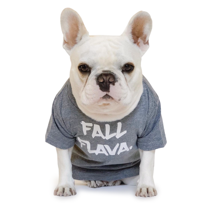 Fall Flava T-Shirt