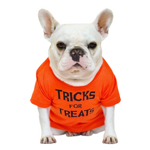 Load image into Gallery viewer, Tricks For Treats T-Shirt