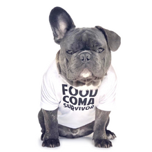 Load image into Gallery viewer, Food Coma Survivor T-Shirt