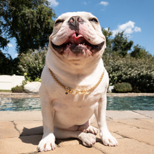 Load image into Gallery viewer, Gold Big Puppin&#39; Braided Chain