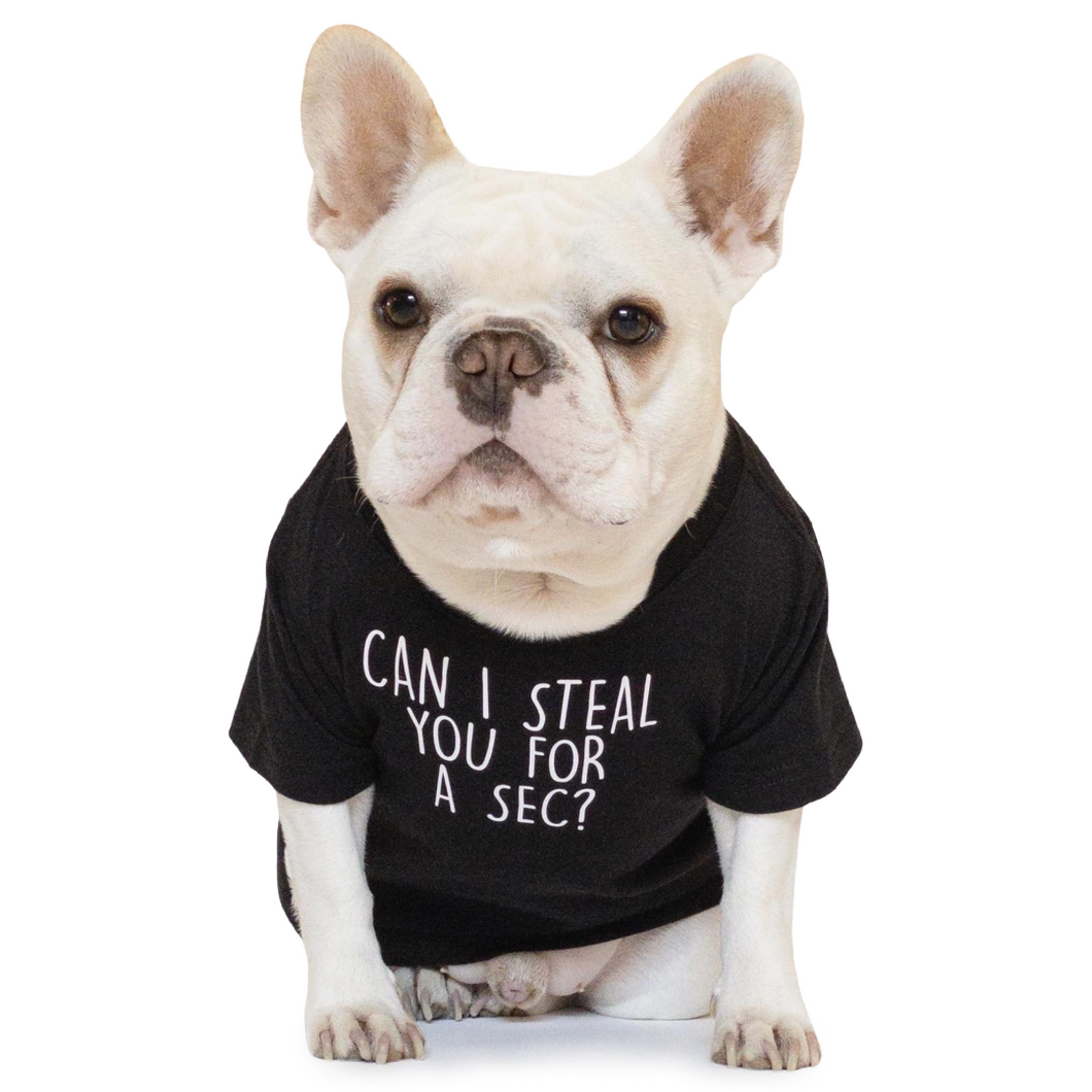 Can I Steal You For A Sec? T-Shirt