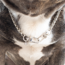 Load image into Gallery viewer, Silver Big Puppin&#39; Braided Chain